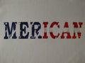 MERICAN